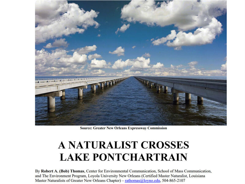 Click to download "A Naturalist Crosses Lake Ponchartrain" by Robert A. Thomas PhD