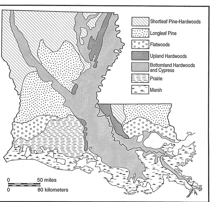 Regional map of the Mississippi River delta plain, Louisiana
