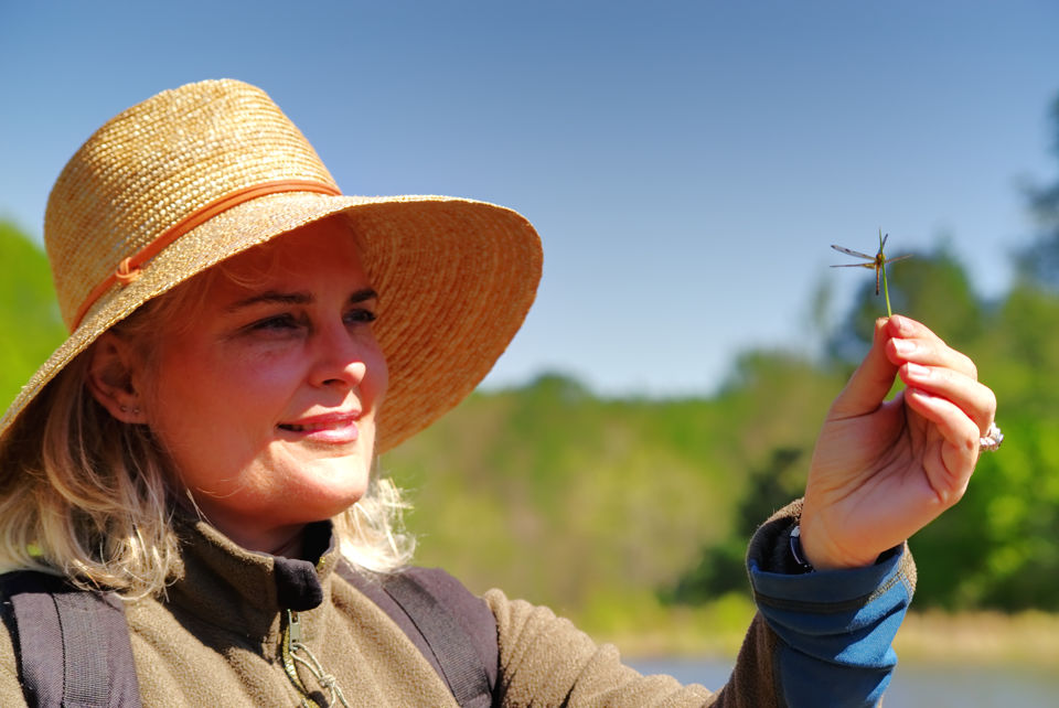 A lady naturalist in a straw hat holding up a dragonfly to observe it's features